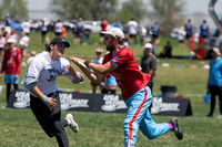 Mixed Semis - shame. Hybrid