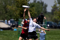 Mixed Semis - shame. Hybrid