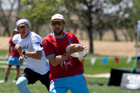 Mixed Semis - shame. Hybrid