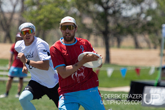 Mixed Semis - shame. Hybrid