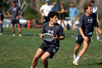 Open Quarters