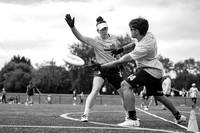 WFDF World Ultimate Club Championships in LIMERICK, IRELAND  15.-22.8 2026