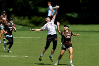 Riot v Molly Brown Semi - 2026 Pro Champs Sunday Action
