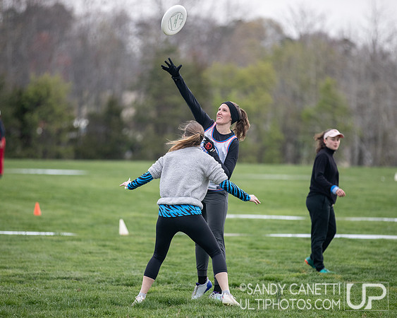 Fools Fest 2023 - Friday Action