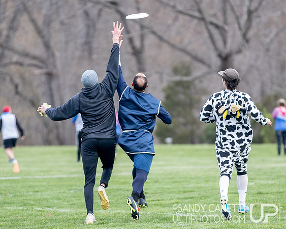 Fools Fest 2023 - Friday Action