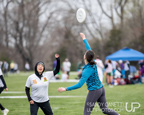 Fools Fest 2023 - Friday Action