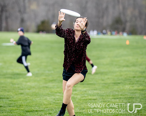 Fools Fest 2023 - Friday Action