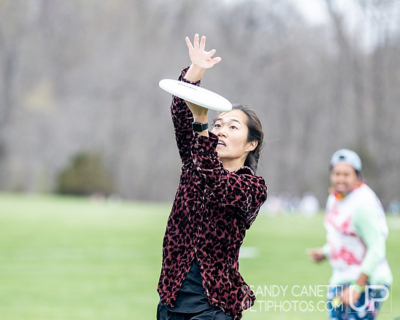 Fools Fest 2023 - Friday Action