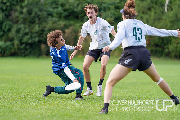 WFDF World Ultimate Club Championships in LIMERICK, IRELAND  15.-22.8 2026
