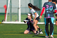 WFDF World Ultimate Club Championships in LIMERICK, IRELAND  15.-22.8 2026