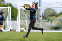WFDF World Ultimate Club Championships in LIMERICK, IRELAND  15.-22.8 2026