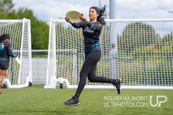 WFDF World Ultimate Club Championships in LIMERICK, IRELAND  15.-22.8 2026