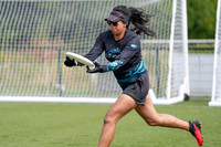WFDF World Ultimate Club Championships in LIMERICK, IRELAND  15.-22.8 2026