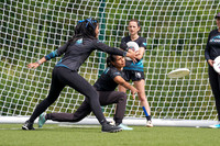 WFDF World Ultimate Club Championships in LIMERICK, IRELAND  15.-22.8 2026