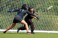 WFDF World Ultimate Club Championships in LIMERICK, IRELAND  15.-22.8 2026