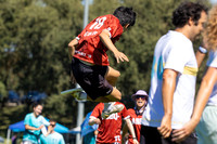 NorCal Sectionals 2026