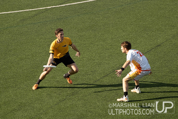 Phoenix vs Thunderbirds