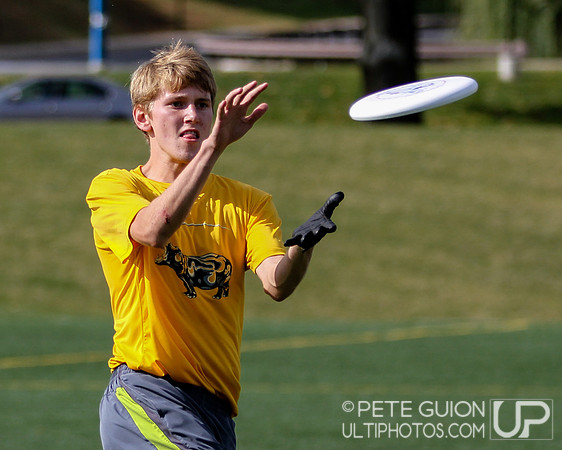 Crouching Tiger, Hidden Panda College Tournament