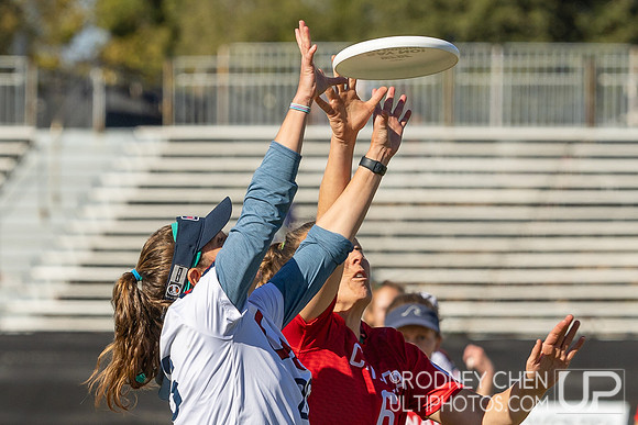 WFDF World Masters Ultimate Championships 2024