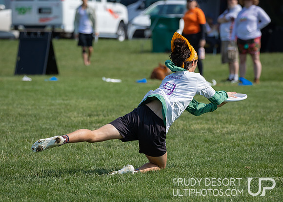 2023 USA Ulitmate Division III College Championships ©