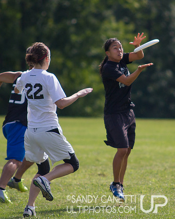 2013 USA Ultimate Metro New York Mixed Sectionals