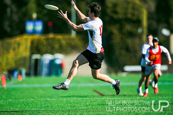 Day 1 of Westerns.