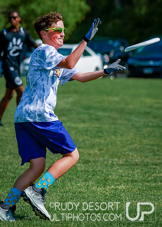 Illinois High School State Championship