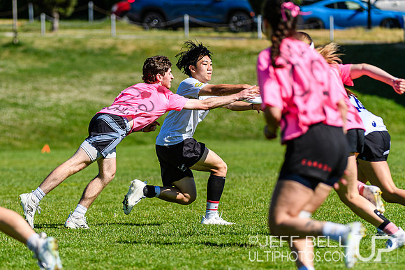Vancouver Ultimate League