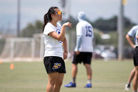 USAU SoCal Sectionals 2026