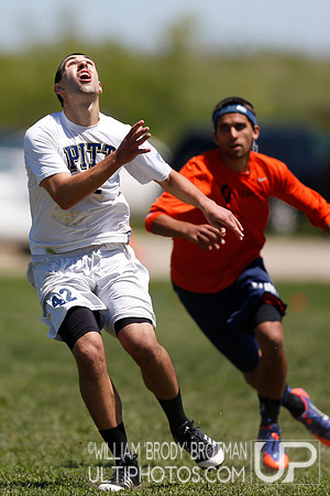 2013 USA Ultimate College Championships