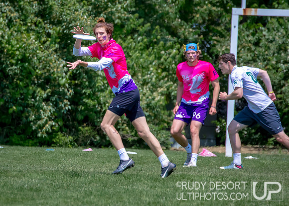 2023 USA Ulitmate Division III College Championships ©