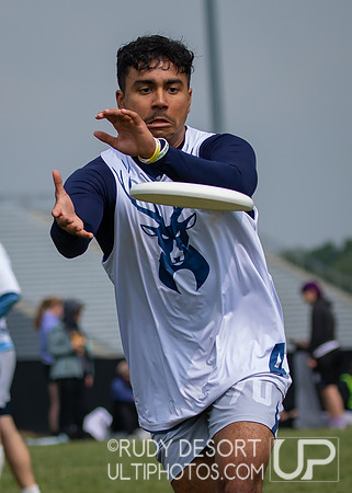 2023 USA Ulitmate Division III College Championships ©
