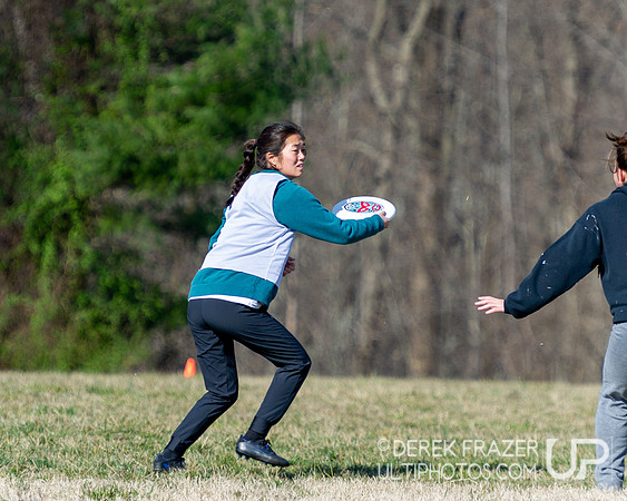 Shamrock Sync Up Action
