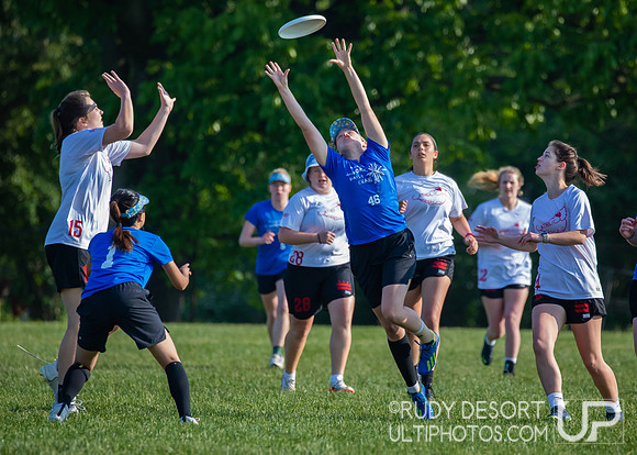 2023 USA Ulitmate Division III College Championships ©