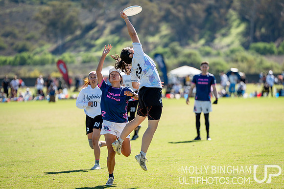 Hybrid vs Polar Bears Final