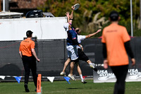 Hybrid vs Polar Bears Final - Club Champs 2026