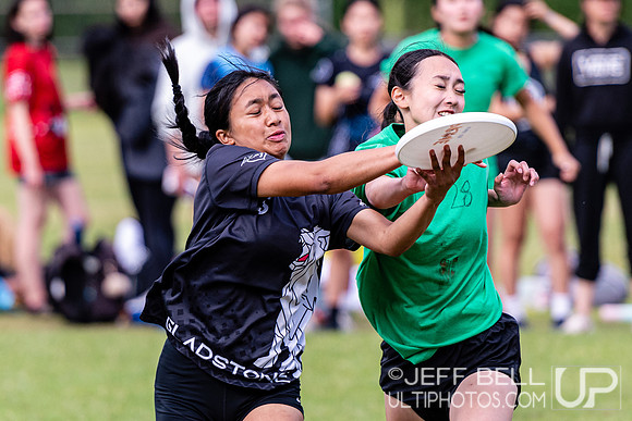 Vancouver Ultimate League Misfit Cup
