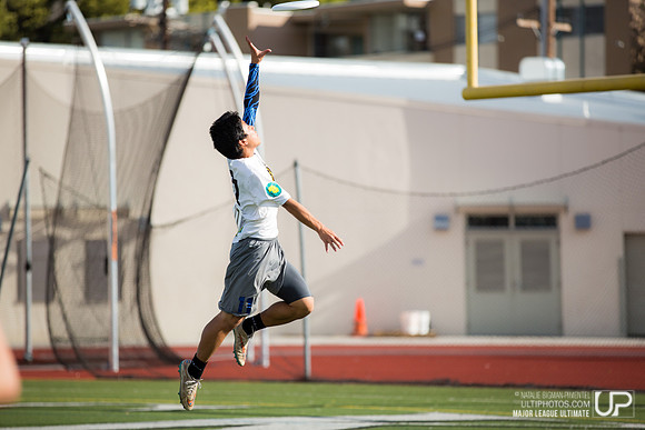 Dogfish 2016 Open Tryout