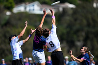 Hybrid vs Polar Bears Final - Club Champs 2026