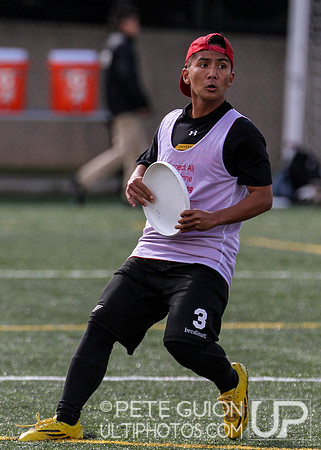 Crouching Tiger, Hidden Panda College Tournament