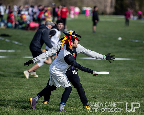 Fools Fest 2023 - Sunday