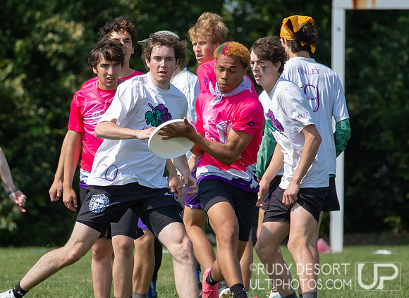 2023 USA Ulitmate Division III College Championships ©