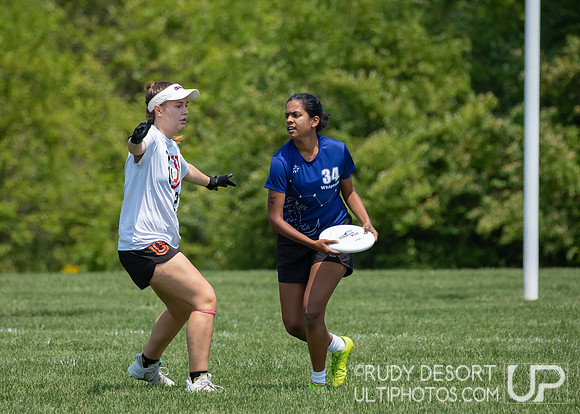 2023 USA Ulitmate Division III College Championships ©