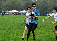 Fairfax Fog vs Yorktown -- WAFC Fall Fling 2026 Sunday