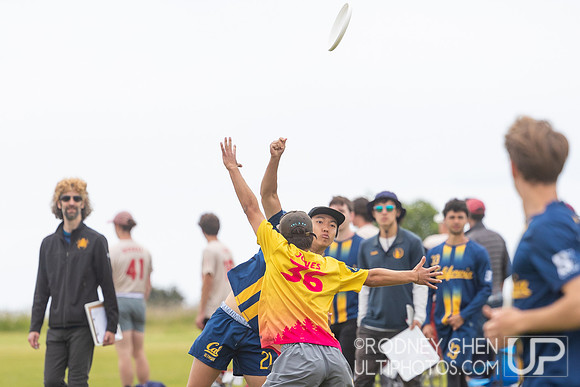 2023 USA Ultimate D1 NorCal Conference Championships