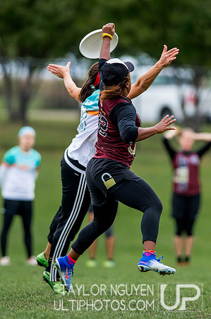 USA Ultimate Club National Championships