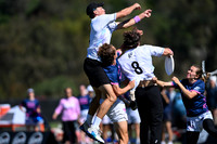 Hybrid vs Polar Bears Final - Club Champs 2026