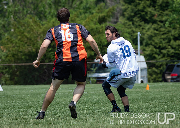 2023 USA Ulitmate Division III College Championships ©