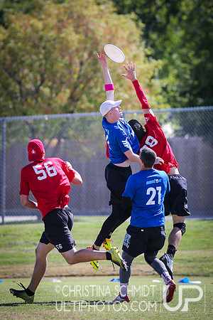 USA Ultimate National Championships 2013 - Sunday Men's Third Place