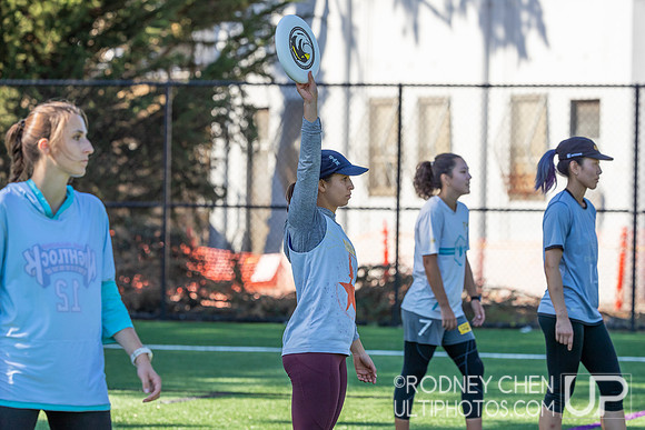 2023 Bay Area Falcons Tryouts